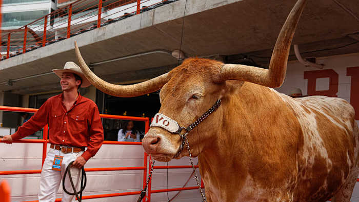 Bevo-Spring Game